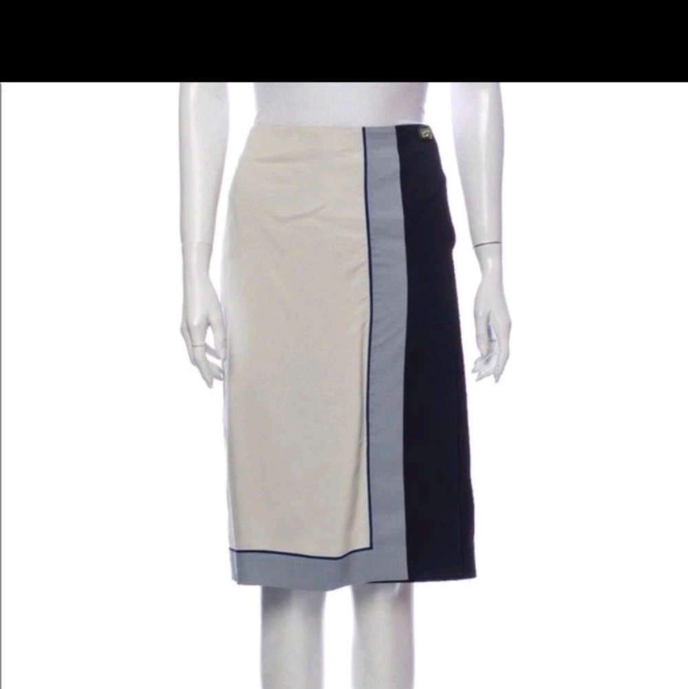 Elegant Two-Tone Women's Skirt